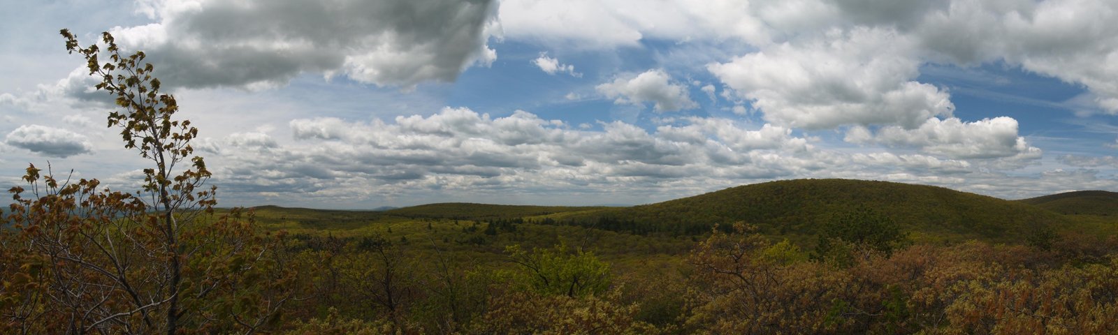 Panorama from Bear Mountain, Connecticut