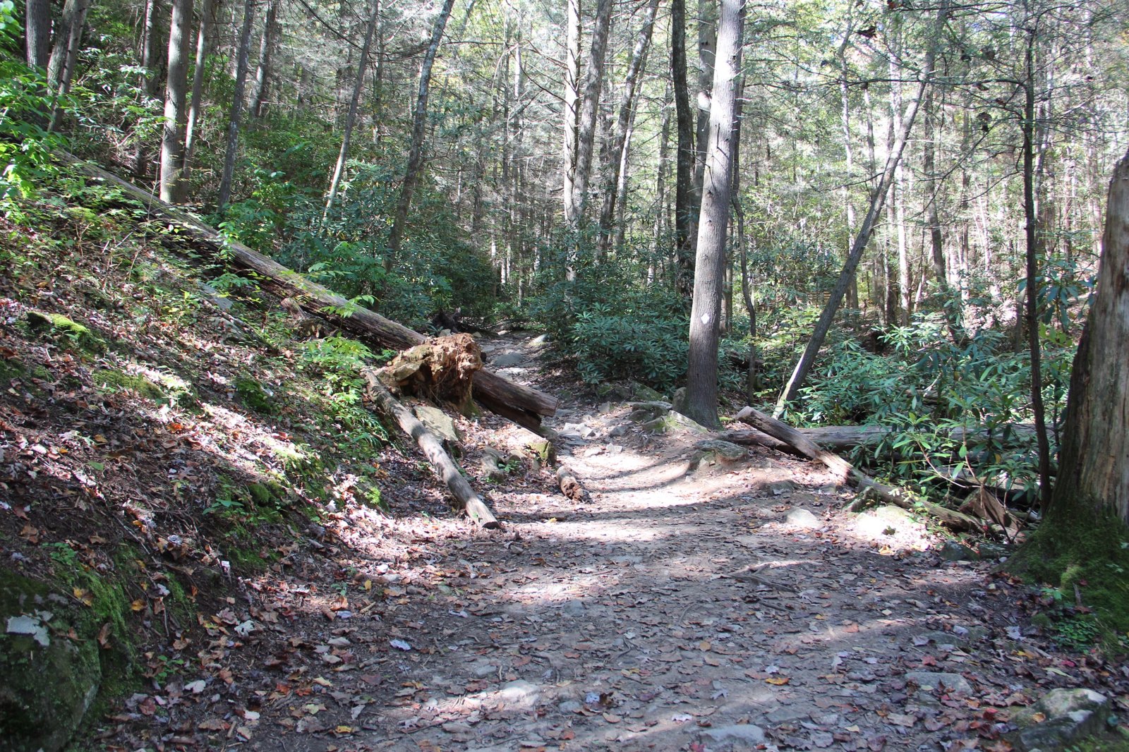 Benton MacKaye Trail, Gilmer County, Georgia