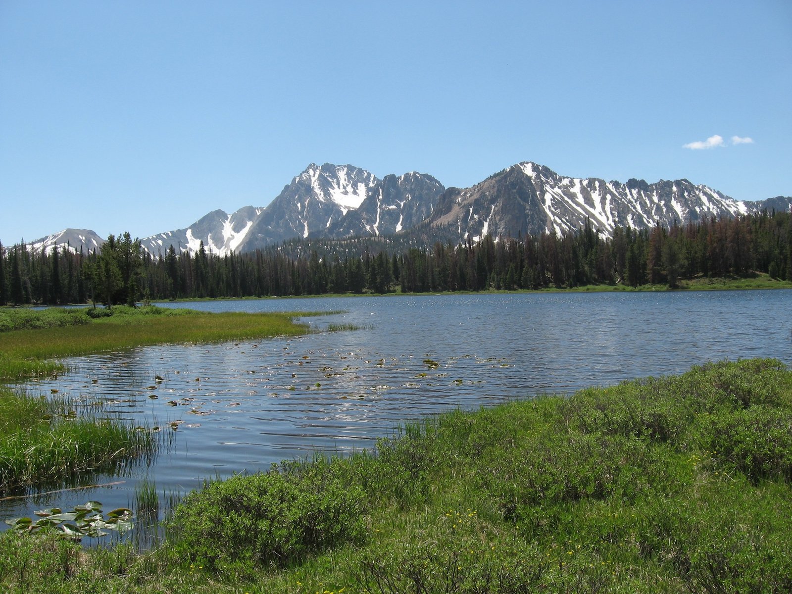 Frog Lake, White Cloud Mountains