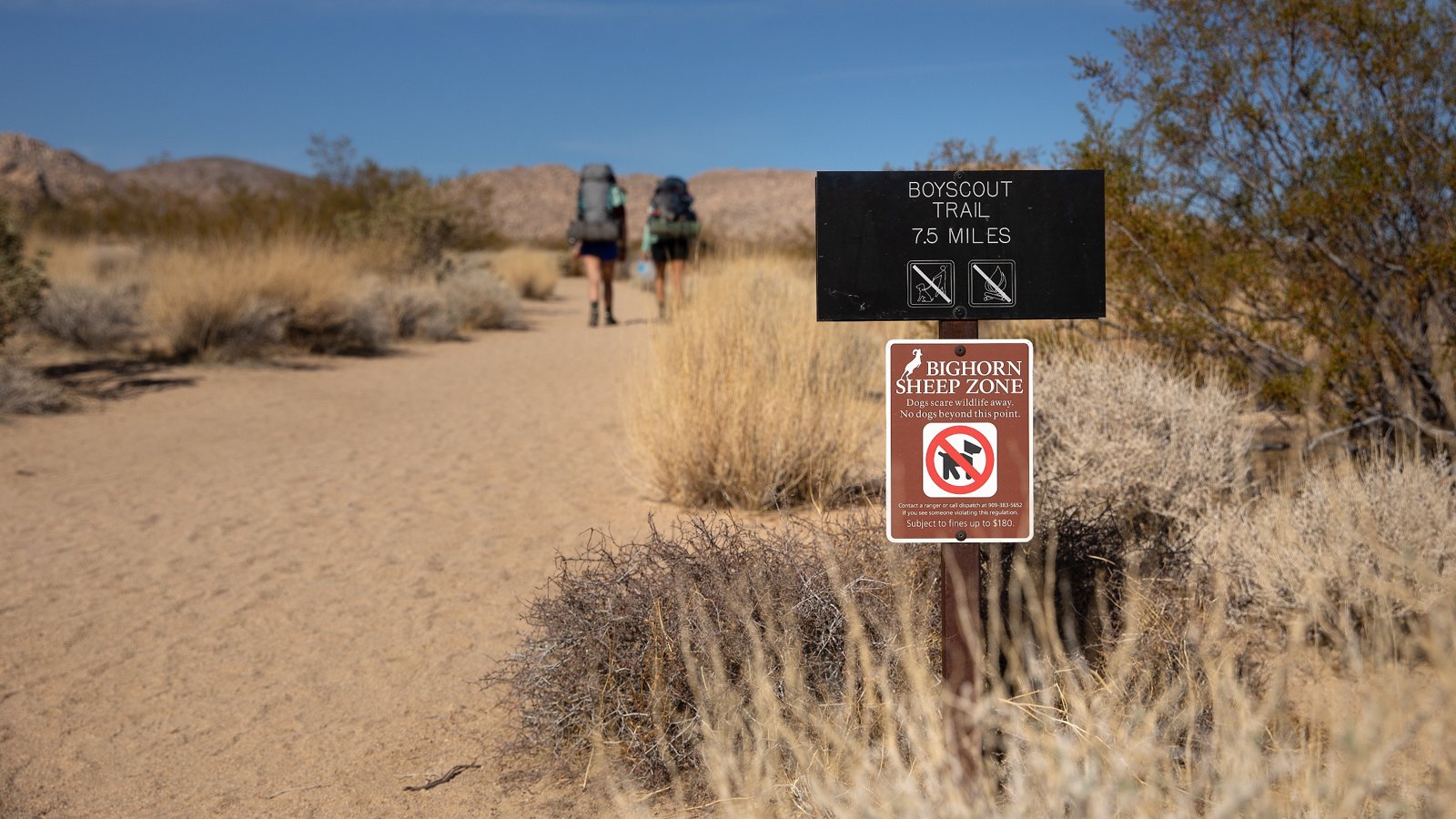 Backpackers on the Boy Scout Trail near the Indian Cove trailhead