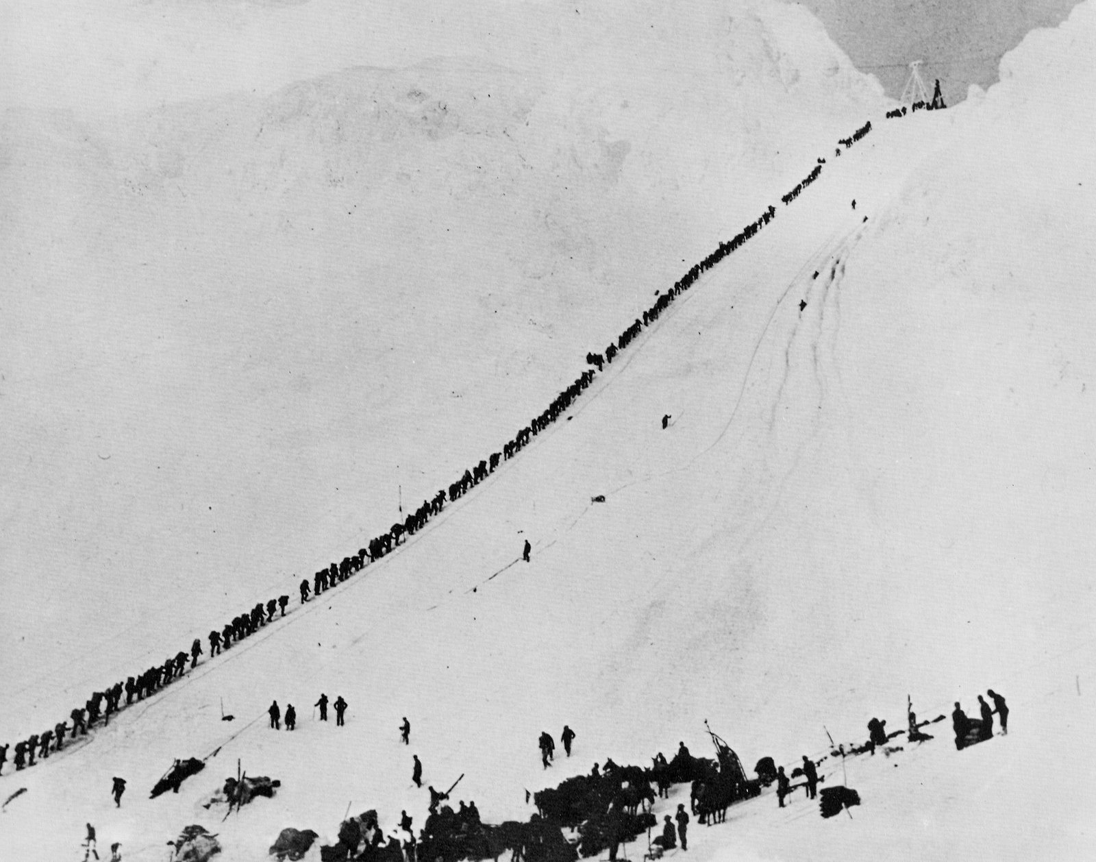 Miners and prospectors climbing the Chilkoot Trail during the Klondike Gold Rush, 1898