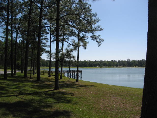 Open Pond, Conecuh National Forest