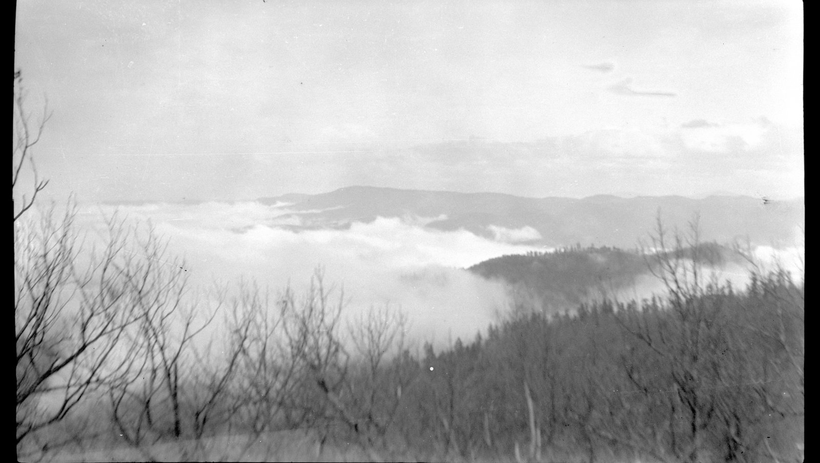 "Fog Banks" looking south from Dugger Mountain