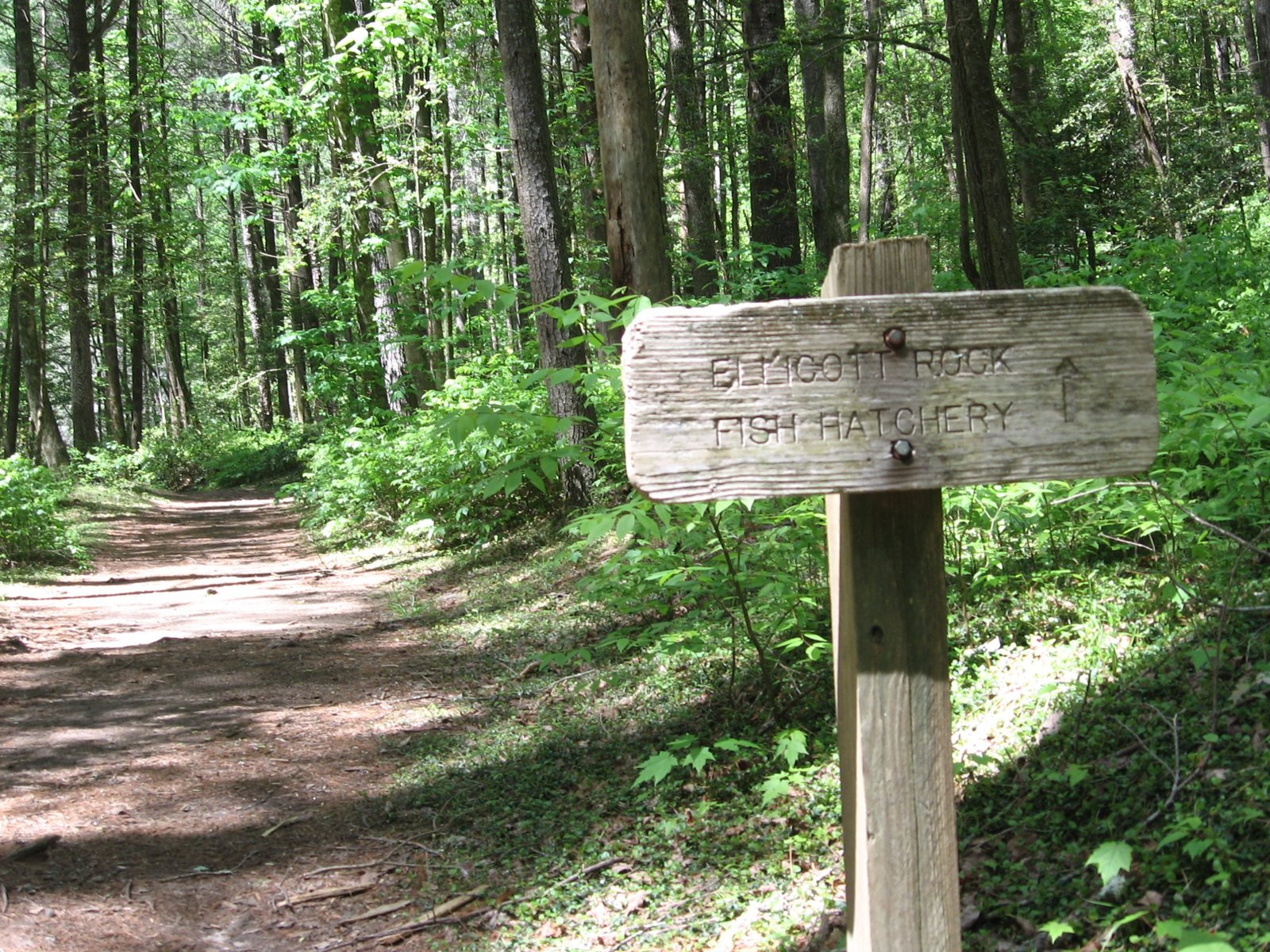 Trail sign for Ellicott Rock and the fish hatchery