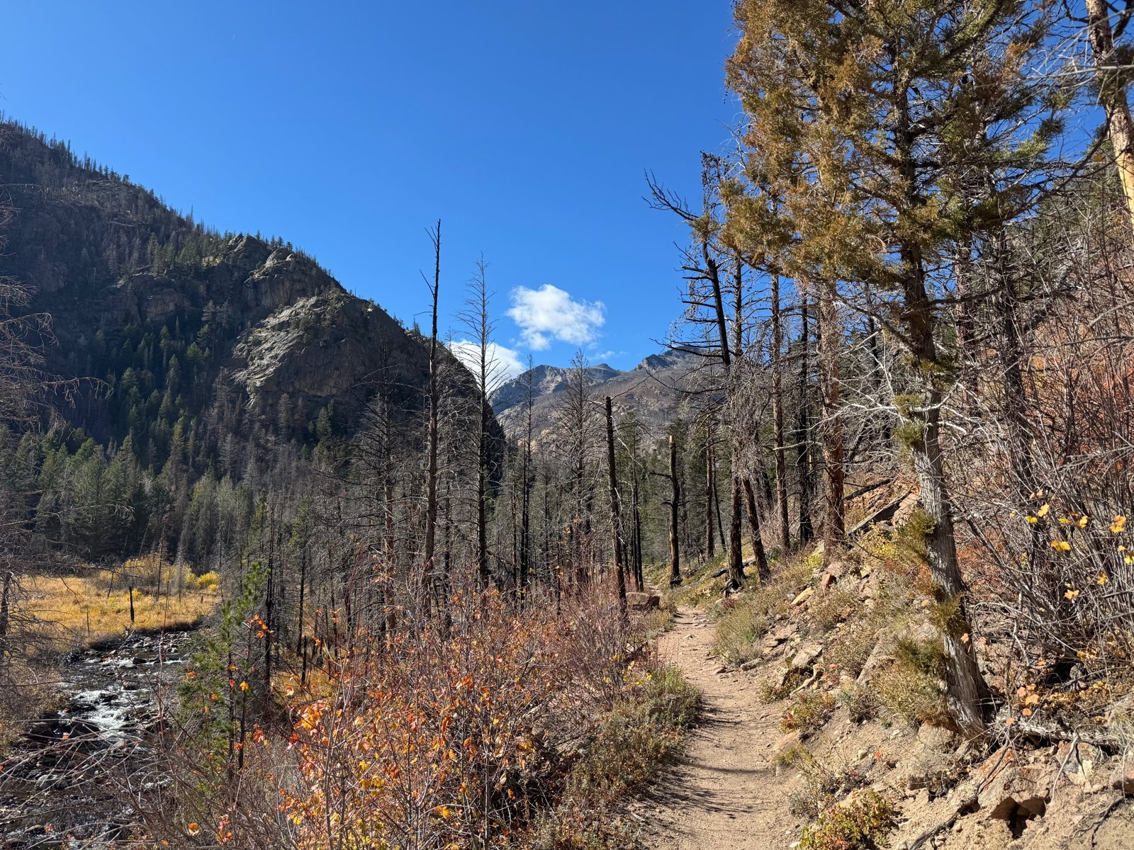 Along the Cub Lake loop in autumn