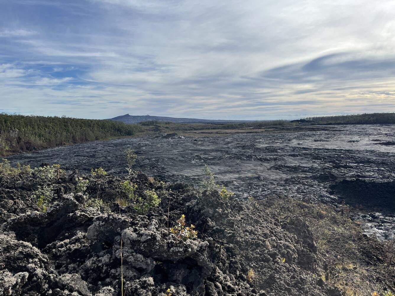 Nāpau Crater from its west rim, with the September 2024 lava flows