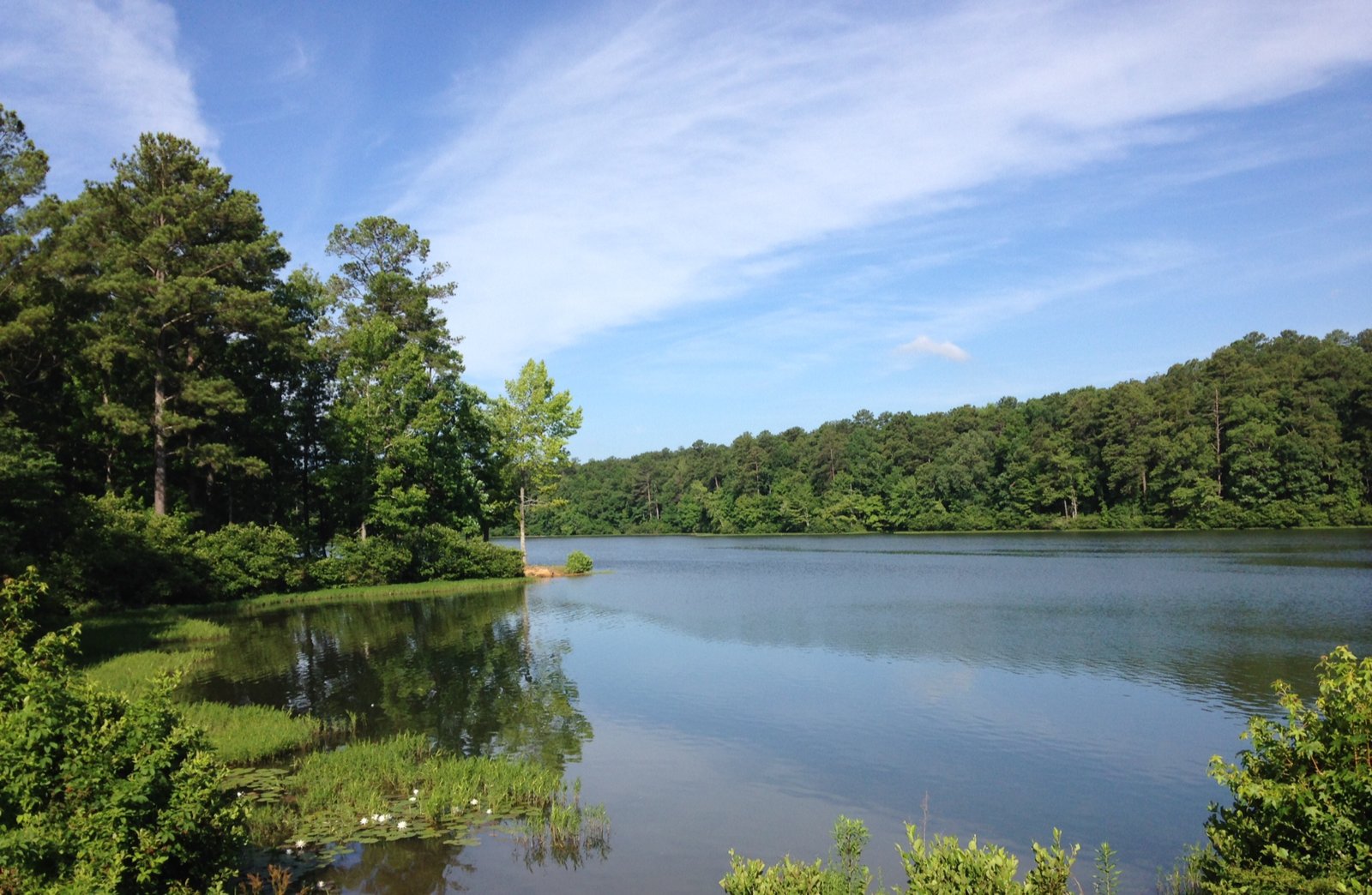 A lake at Oak Mountain State Park