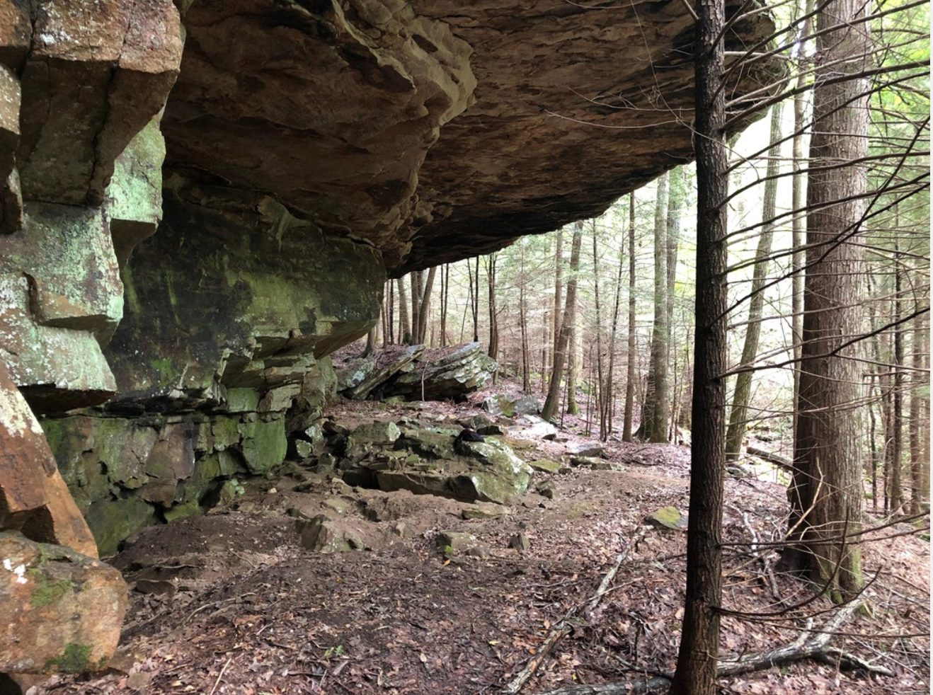 Cumberland Trail to Devils Breakfast Table