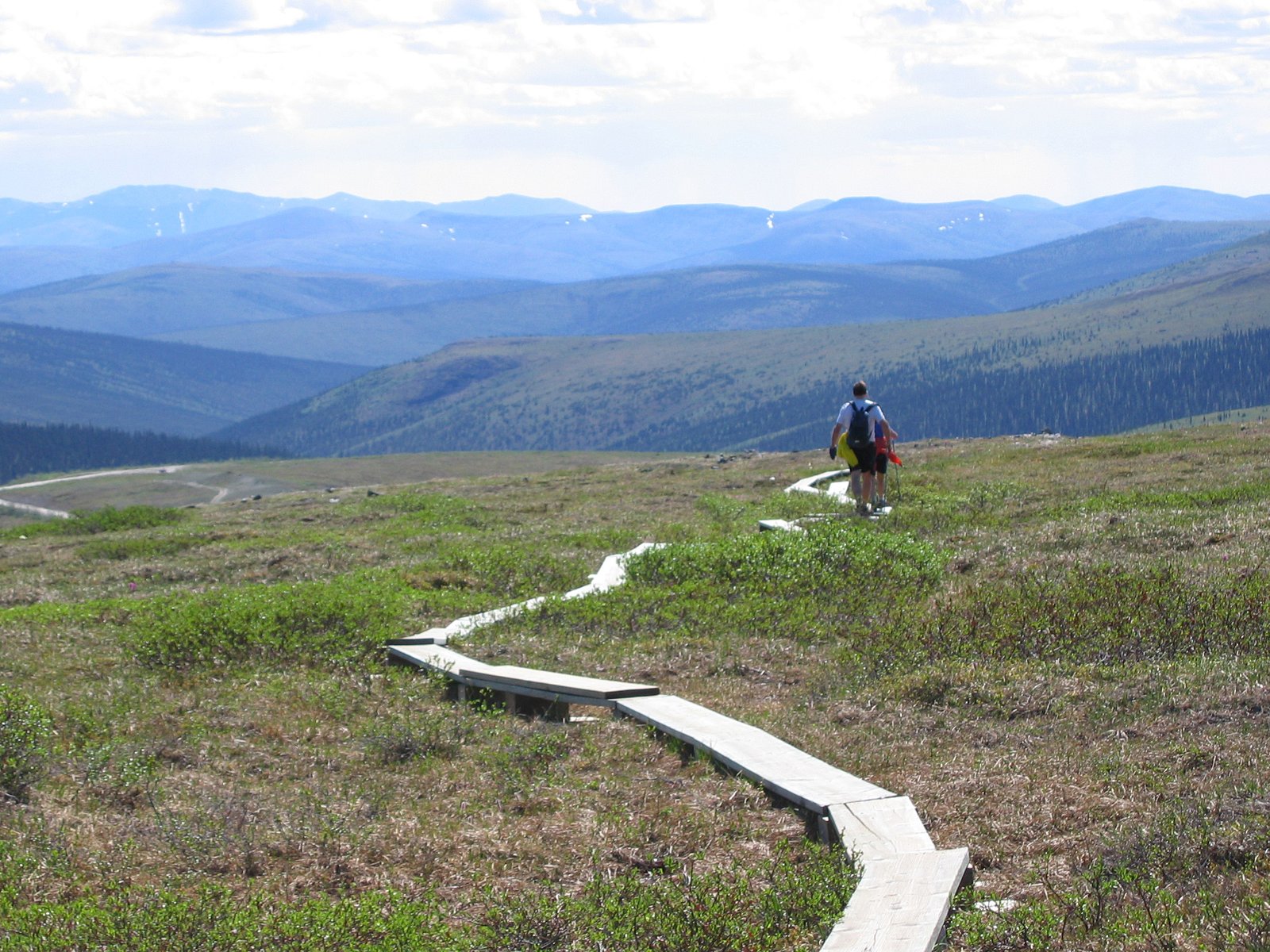 Hikers on a boardwalk section of the Pinnell Mountain Trail near Twelvemile Summit