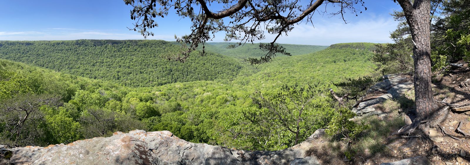 Overlook, Savage Gulf State Natural Area