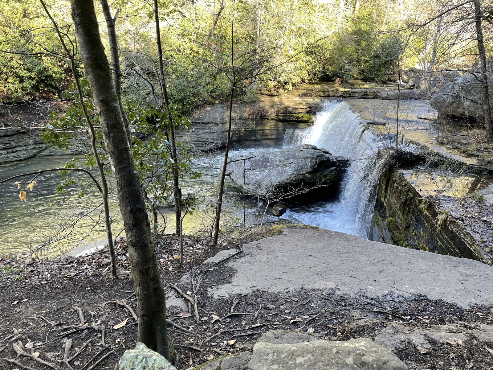 Savage Gulf State Natural Area