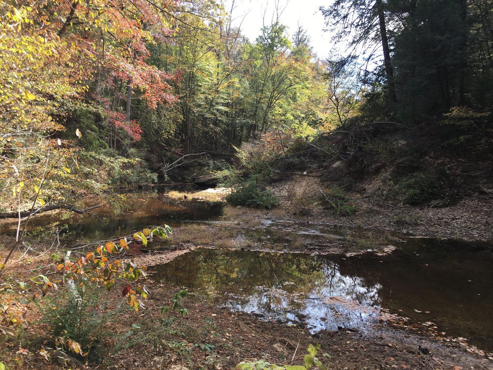 Sipsey River in the Sipsey Wilderness