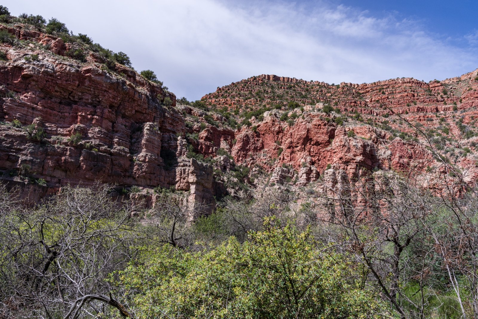 Red cliffs above the Parsons Trail in Sycamore Canyon