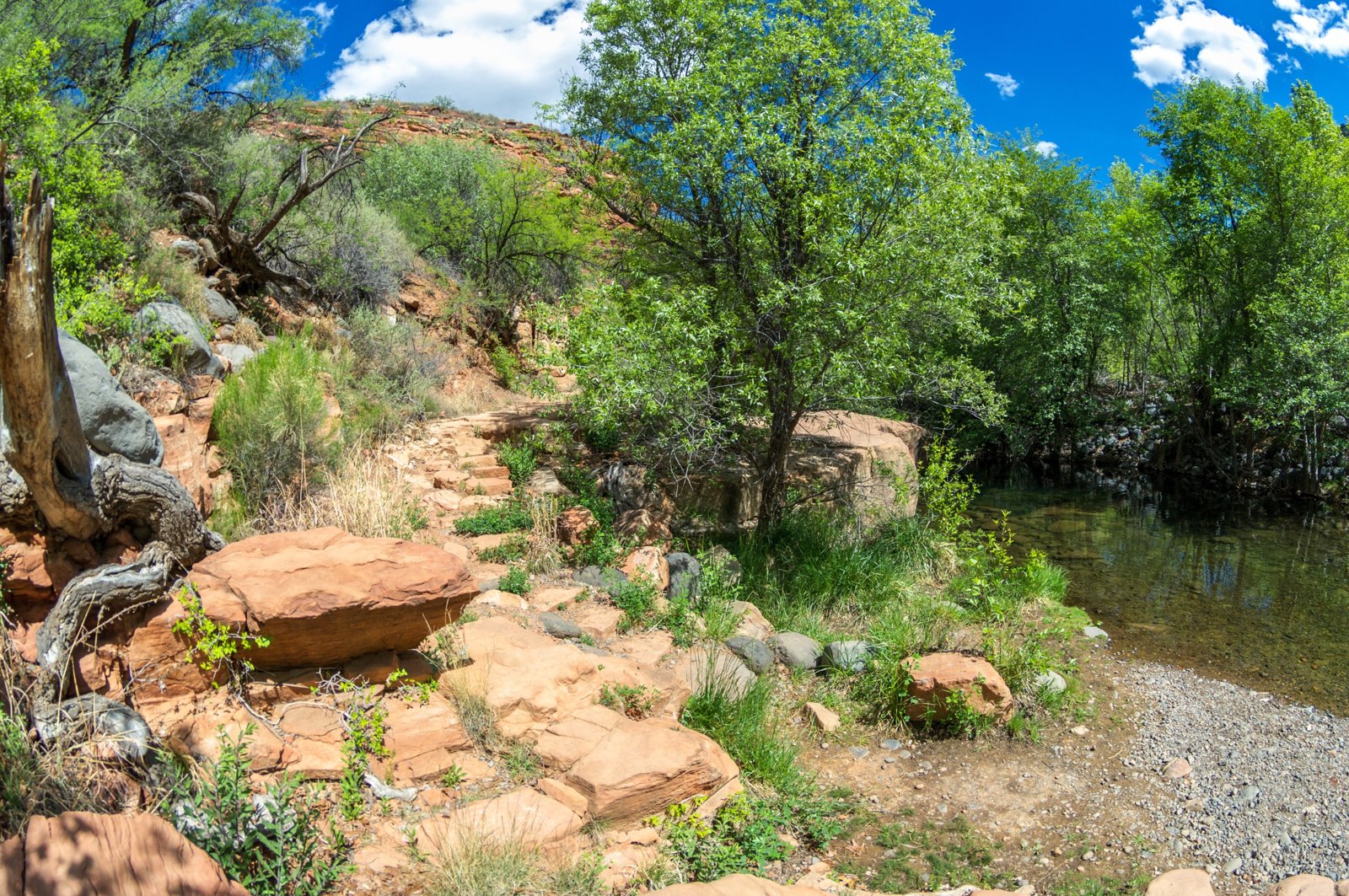 West Clear Creek Trail #17 beside the creek