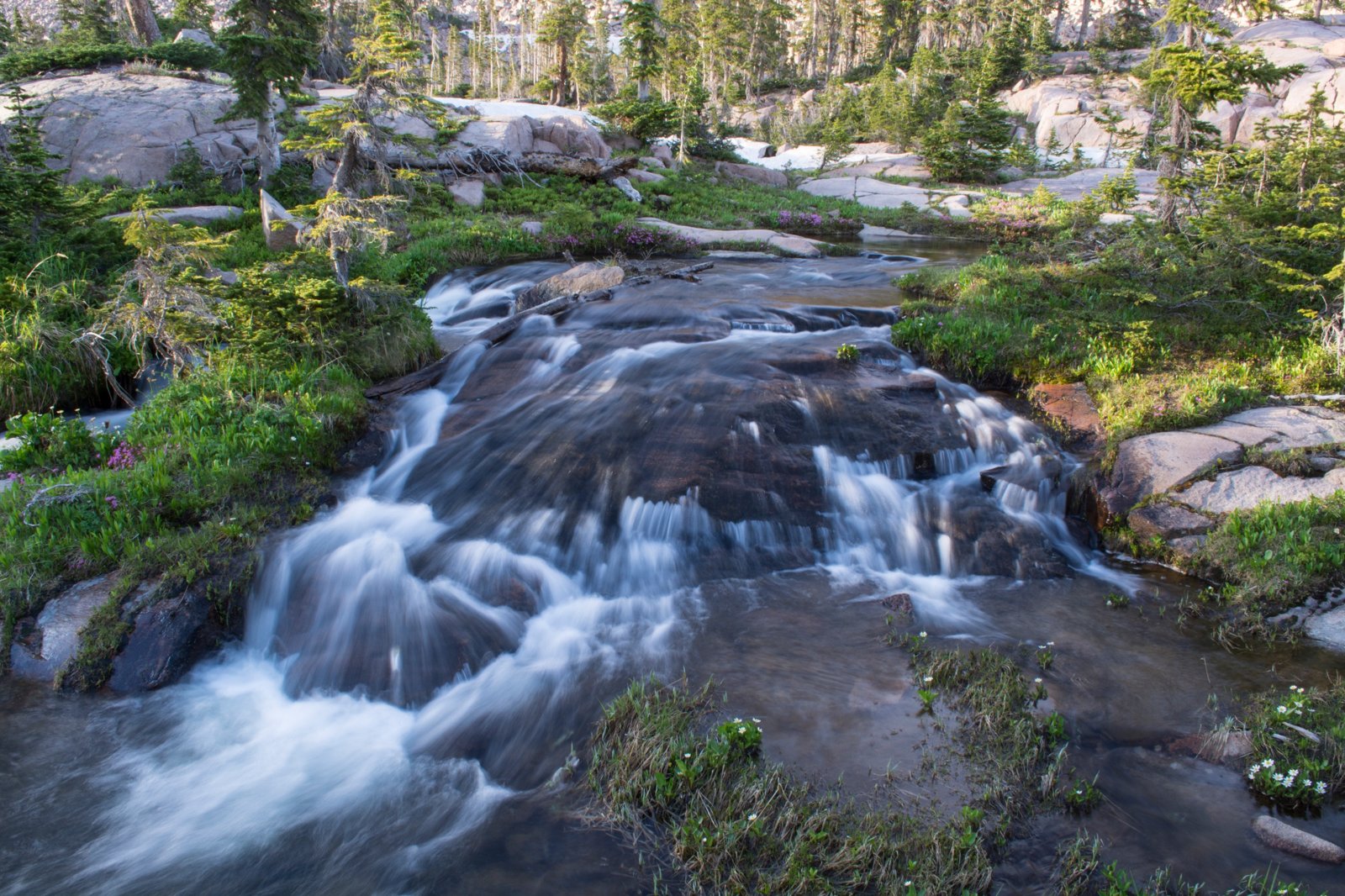 A cascading stream in the Mount Zirkel Wilderness